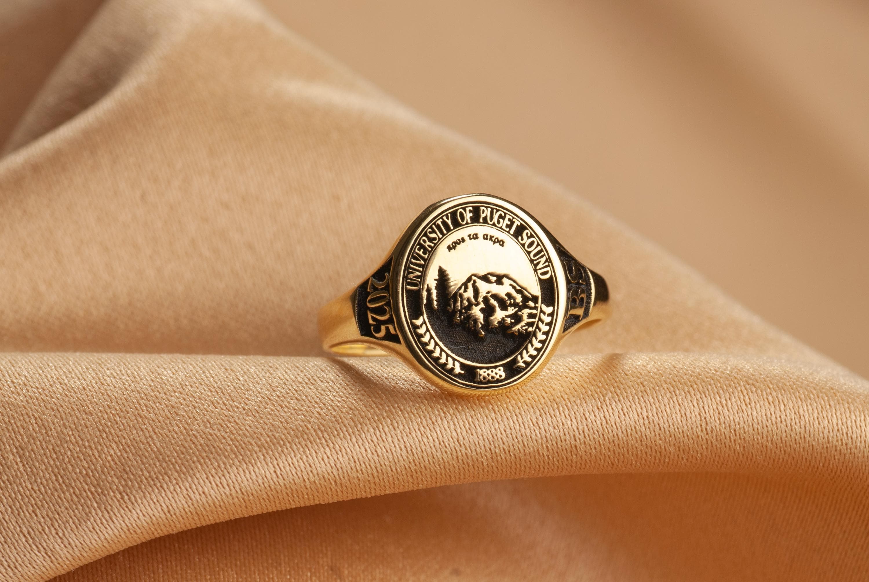 Custom 14K Solid Gold School Emblem Class Ring, Graduation Ring, College Ring, Senior Year Gift, Custom Crest Ring, Engraved Graduatin Gift