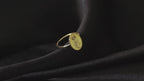 Personalized 14K Gold Pet Portrait Signet Ring – Engraved from Your Photo